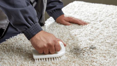 Professional Rug Cleaning Drysdale